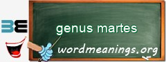 WordMeaning blackboard for genus martes
